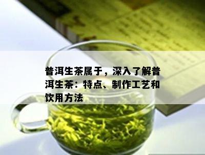 普洱生茶属于，深入熟悉普洱生茶：特点、制作工艺和饮用方法