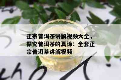 正宗普洱茶讲解视频大全，探究普洱茶的真谛：全套正宗普洱茶讲解视频