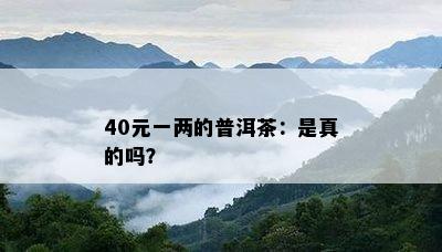 40元一两的普洱茶：是真的吗？