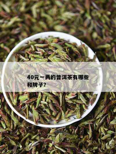 40元一两的普洱茶有哪些和牌子？