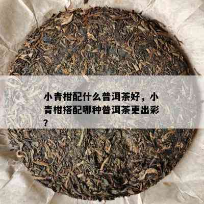 小青柑配什么普洱茶好，小青柑搭配哪种普洱茶更出彩？