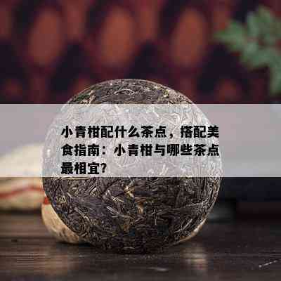 小青柑配什么茶点，搭配美食指南：小青柑与哪些茶点最相宜？