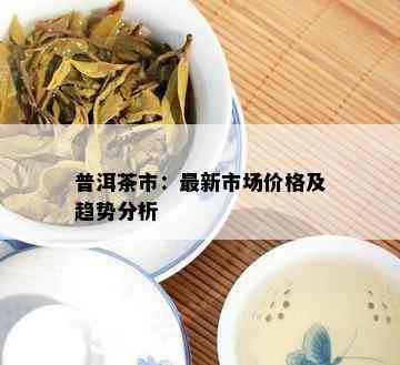 普洱茶市：最新市场价格及趋势分析