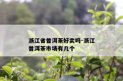 浙江省普洱茶好卖吗-浙江普洱茶市场有几个