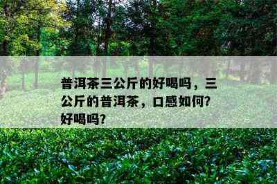 普洱茶三公斤的好喝吗，三公斤的普洱茶，口感如何？好喝吗？