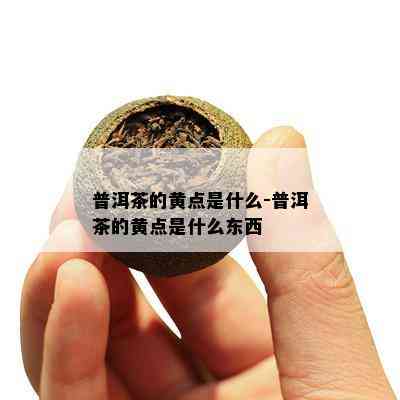 普洱茶的黄点是什么-普洱茶的黄点是什么东西