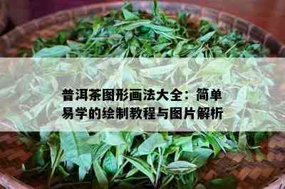 普洱茶图形画法大全：简单易学的绘制教程与图片解析