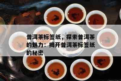 普洱茶标签纸，探索普洱茶的魅力：揭开普洱茶标签纸的秘密