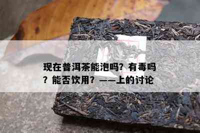 现在普洱茶能泡吗？有吗？能否饮用？——上的讨论