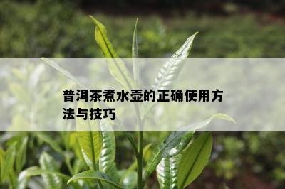 普洱茶煮水壶的正确使用方法与技巧