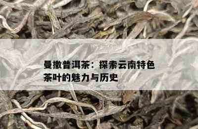 曼撒普洱茶：探索云南特色茶叶的魅力与历史