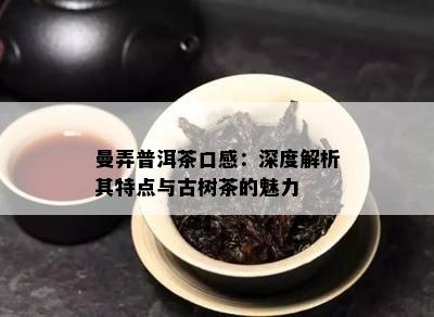 曼弄普洱茶口感：深度解析其特点与古树茶的魅力