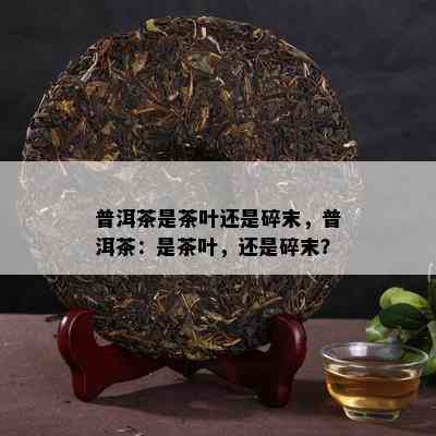 普洱茶是茶叶还是碎末，普洱茶：是茶叶，还是碎末？