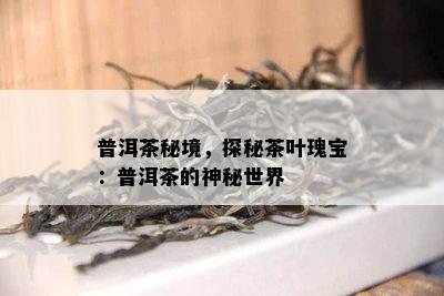 普洱茶秘境，探秘茶叶瑰宝：普洱茶的神秘世界