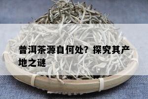 普洱茶源自何处？探究其产地之谜