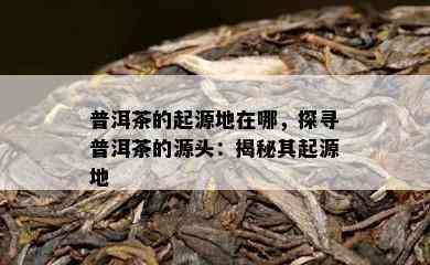 普洱茶的起源地在哪，探寻普洱茶的源头：揭秘其起源地