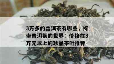 3万多的普洱茶有哪些，探索普洱茶的世界：价格在3万元以上的珍品茶叶推荐