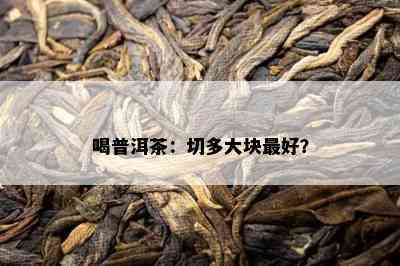 喝普洱茶：切多大块更好？