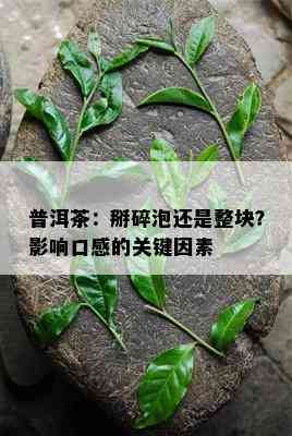 普洱茶：掰碎泡还是整块？作用口感的关键因素