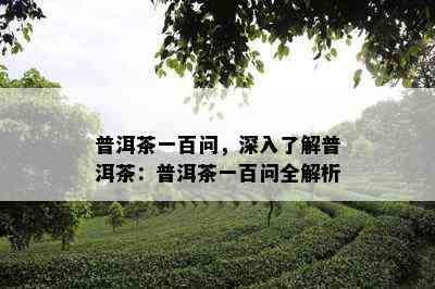 普洱茶一百问，深入了解普洱茶：普洱茶一百问全解析