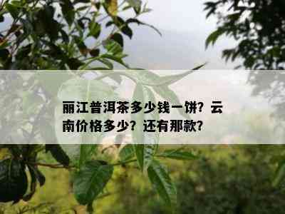 丽江普洱茶多少钱一饼？云南价格多少？还有那款？