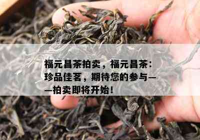 福元昌茶拍卖，福元昌茶：珍品佳茗，期待您的参与——拍卖即将开始！