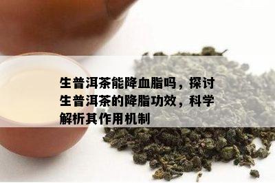 生普洱茶能降血脂吗，探讨生普洱茶的降脂功效，科学解析其作用机制