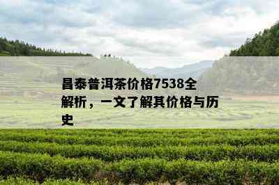 昌泰普洱茶价格7538全解析，一文熟悉其价格与历史