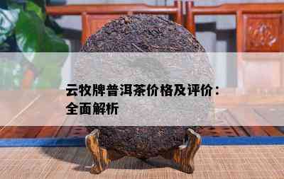 云牧牌普洱茶价格及评价：全面解析