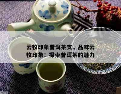 云牧印象普洱茶支，品味云牧印象：探索普洱茶的魅力