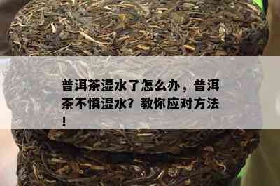 普洱茶湿水了怎么办，普洱茶不慎湿水？教你应对方法！