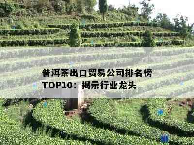 普洱茶出口贸易公司排名榜TOP10：揭示行业龙头