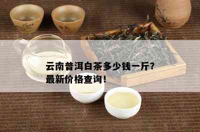 云南普洱白茶多少钱一斤？最新价格查询！