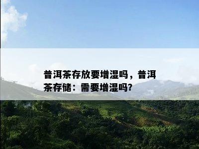 普洱茶存放要增湿吗，普洱茶存储：需要增湿吗？