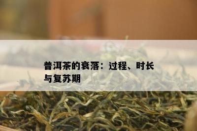 普洱茶的衰落：过程、时长与复苏期