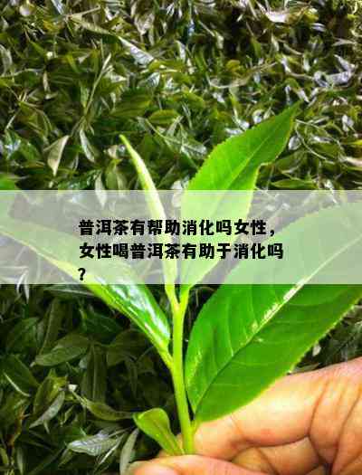 普洱茶有帮助消化吗女性，女性喝普洱茶有助于消化吗？