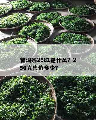 普洱茶2581是什么？250克售价多少？