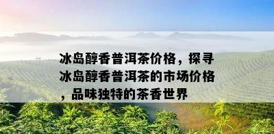 冰岛醇香普洱茶价格，探寻冰岛醇香普洱茶的市场价格，品味独特的茶香世界