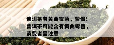 普洱茶有黄曲霉菌，警惕！普洱茶可能含有黄曲霉菌，消费者需留意