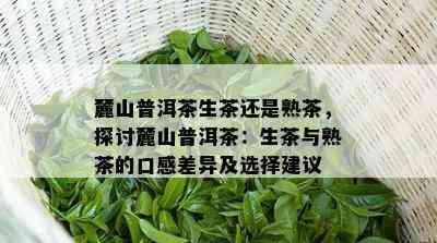 麓山普洱茶生茶还是熟茶，探讨麓山普洱茶：生茶与熟茶的口感差异及选择建议