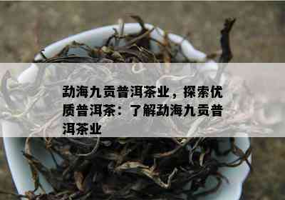 勐海九贡普洱茶业，探索优质普洱茶：熟悉勐海九贡普洱茶业