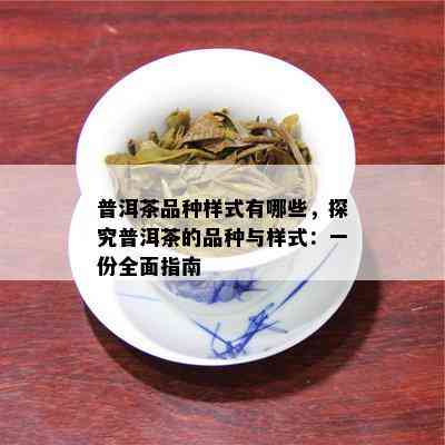 普洱茶品种样式有哪些，探究普洱茶的品种与样式：一份全面指南