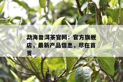 勐海普洱茶官网：官方旗舰店，最新产品信息，尽在首页