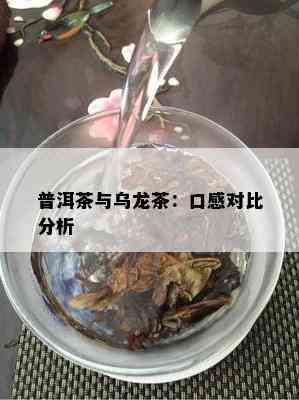 普洱茶与乌龙茶：口感对比分析