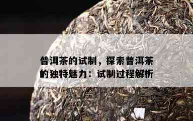 普洱茶的试制，探索普洱茶的特别魅力：试制过程解析