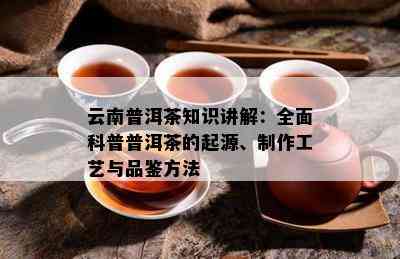 云南普洱茶知识讲解：全面科普普洱茶的起源、制作工艺与品鉴方法