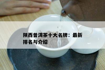 陕西普洱茶十大名牌：最新排名与介绍