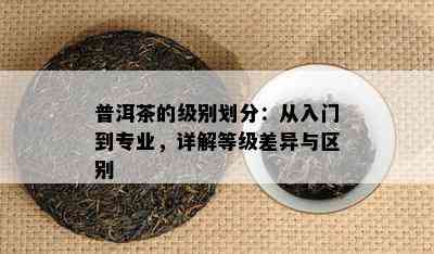 普洱茶的级别划分：从入门到专业，详解等级差异与区别