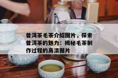 普洱茶毛茶介绍图片，探索普洱茶的魅力：揭秘毛茶制作过程的高清图片