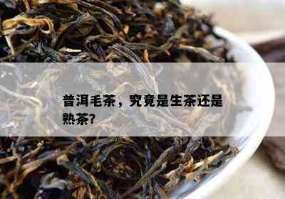 普洱毛茶，究竟是生茶还是熟茶？